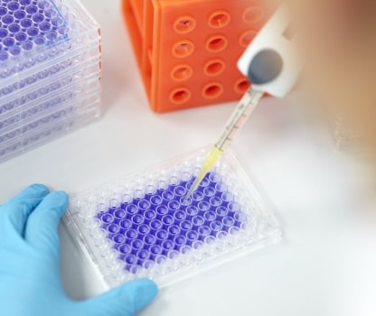 Cytotoxicity