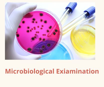 Microbiological-Examination